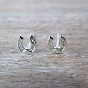 silver studs